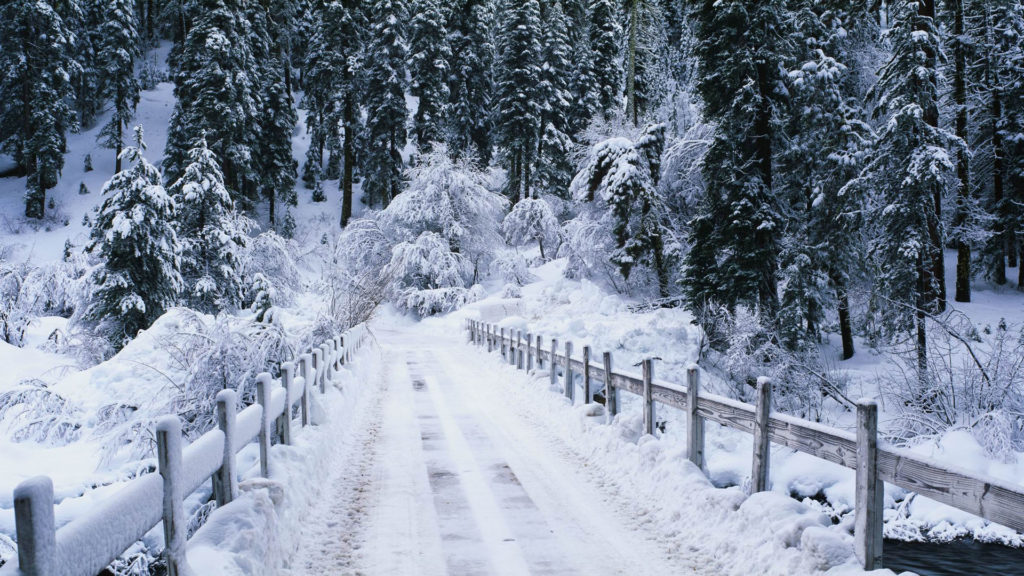 Snowy-bridge