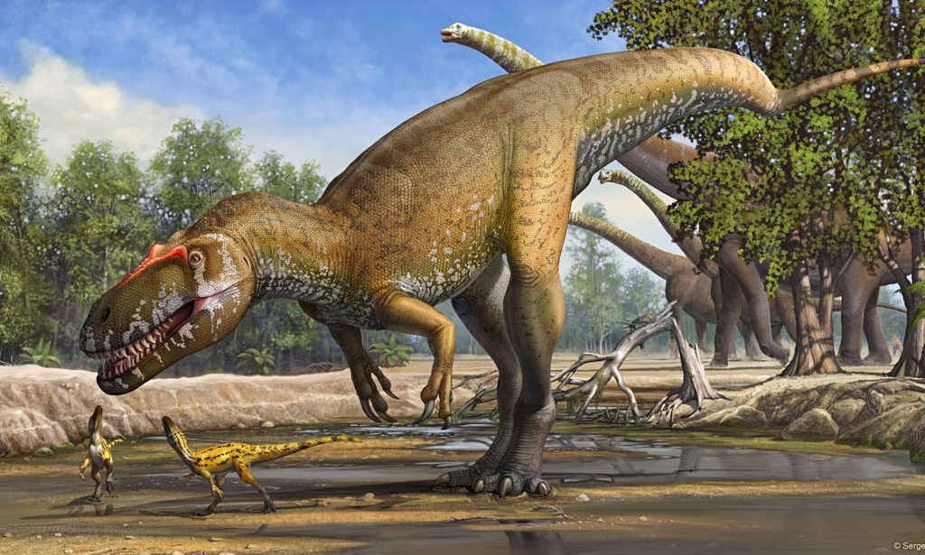 New dinosaur species discovered: Torvosaurus gurneyi