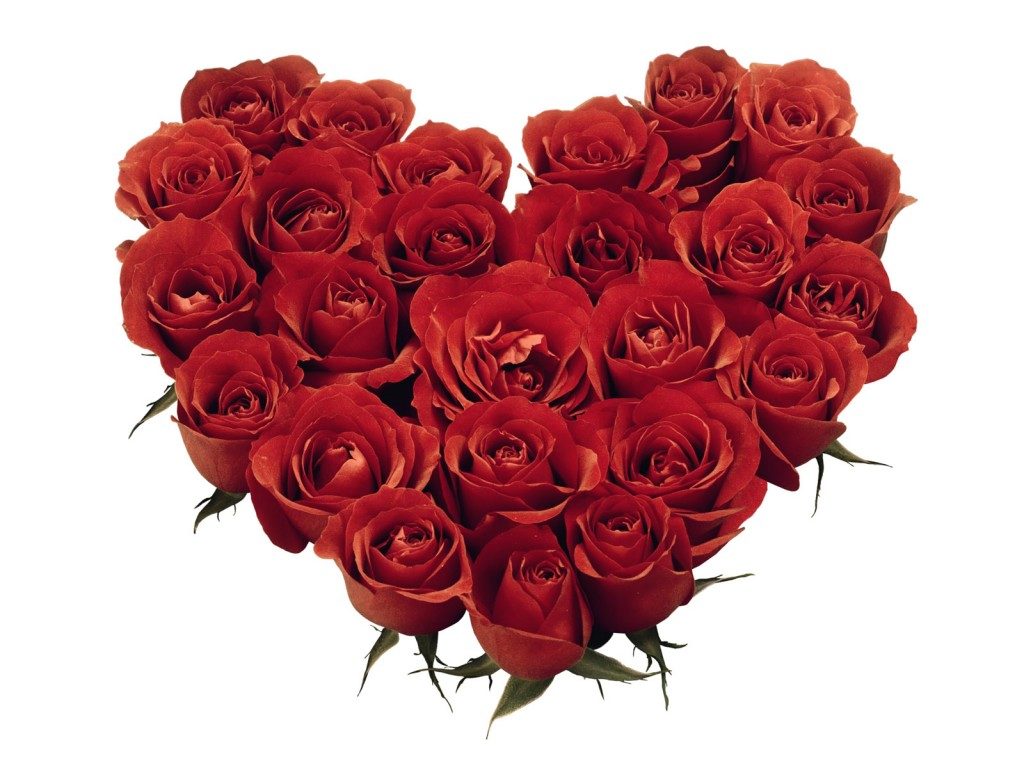hearts-roses-1024x768