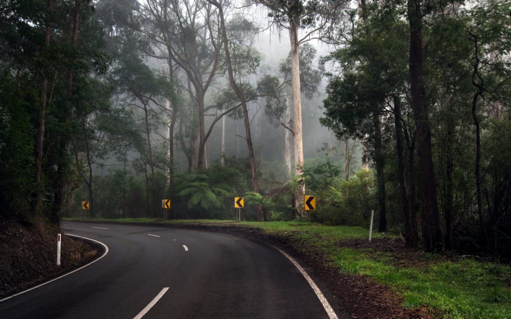 Road-in-the-tropical-forest