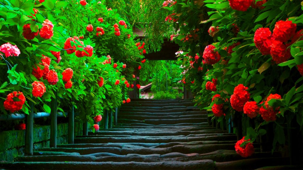 3d-abstract_hdwallpaper_spring-path_40854