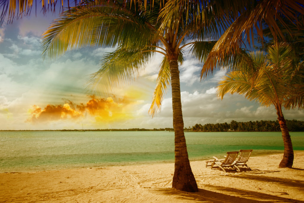Tropical-beach-palm-sea