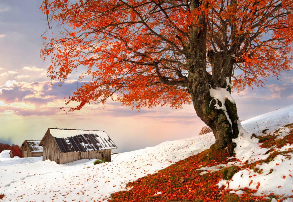Autumn-and-winter-together