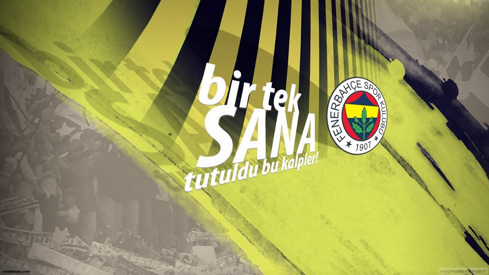 Fenerbahçe-HD-Duvar-Kağıtları-9