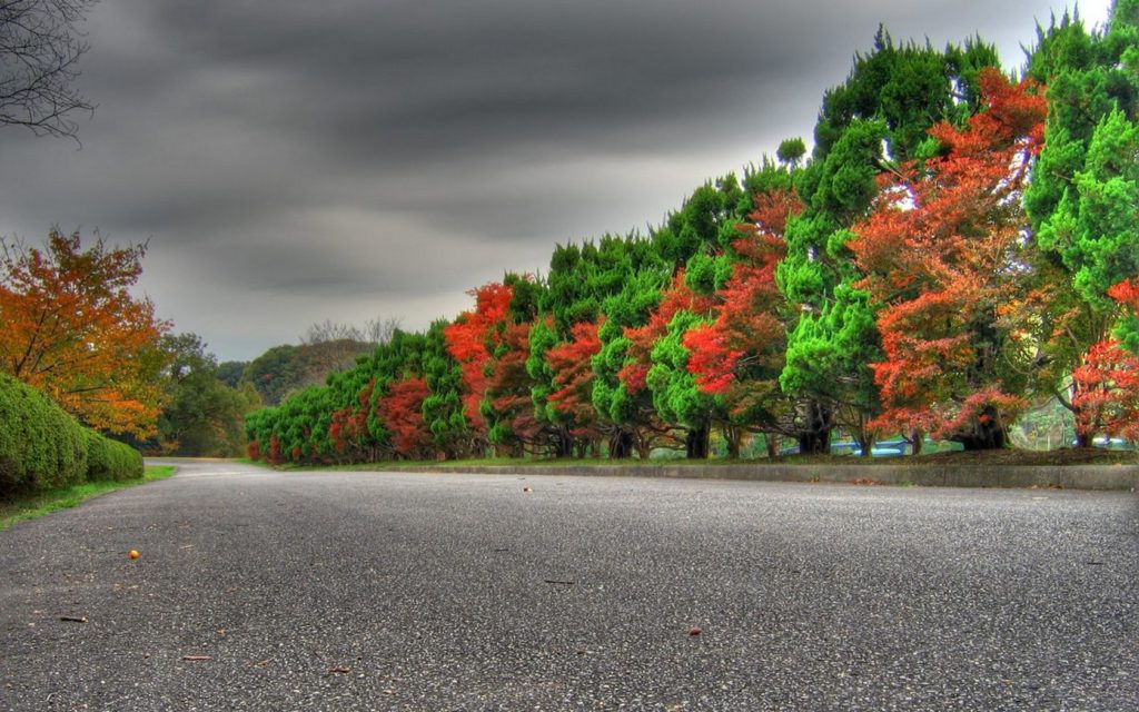 autumn-roadside